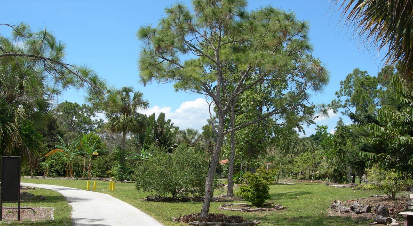 Deerfield Beach Arboretum (Tree Zoo)
